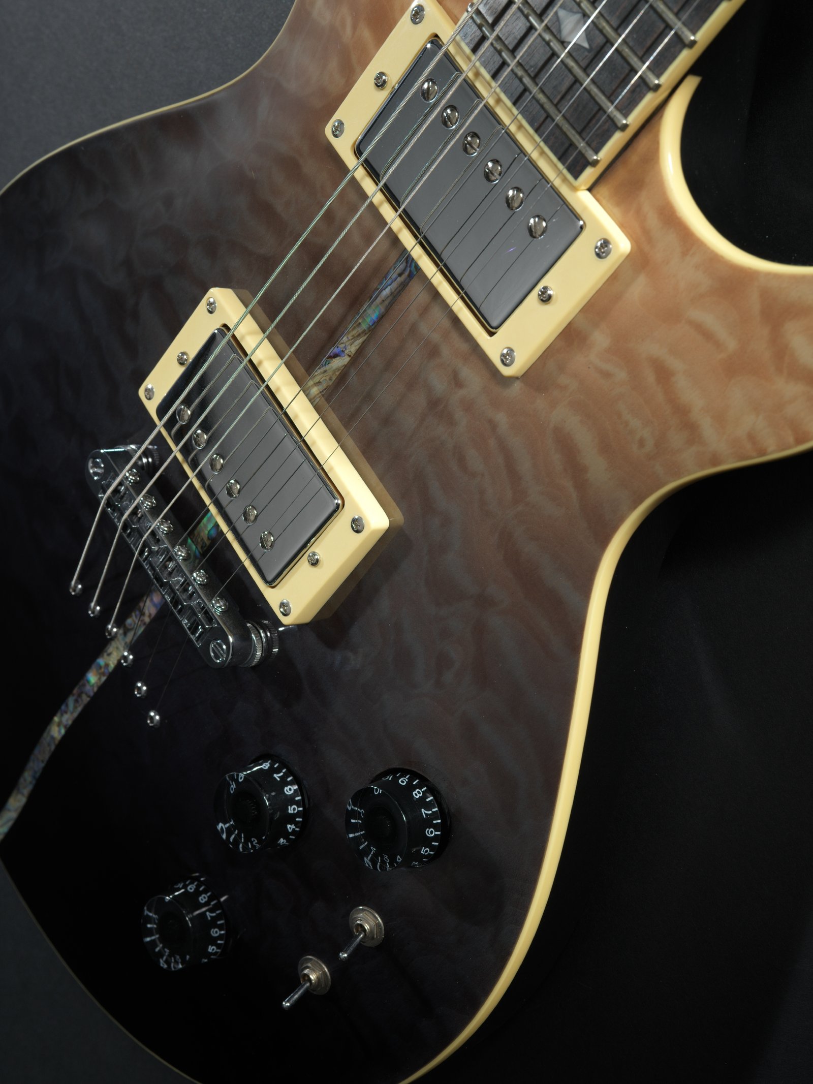 Partial Eclipse Pickups Closeup