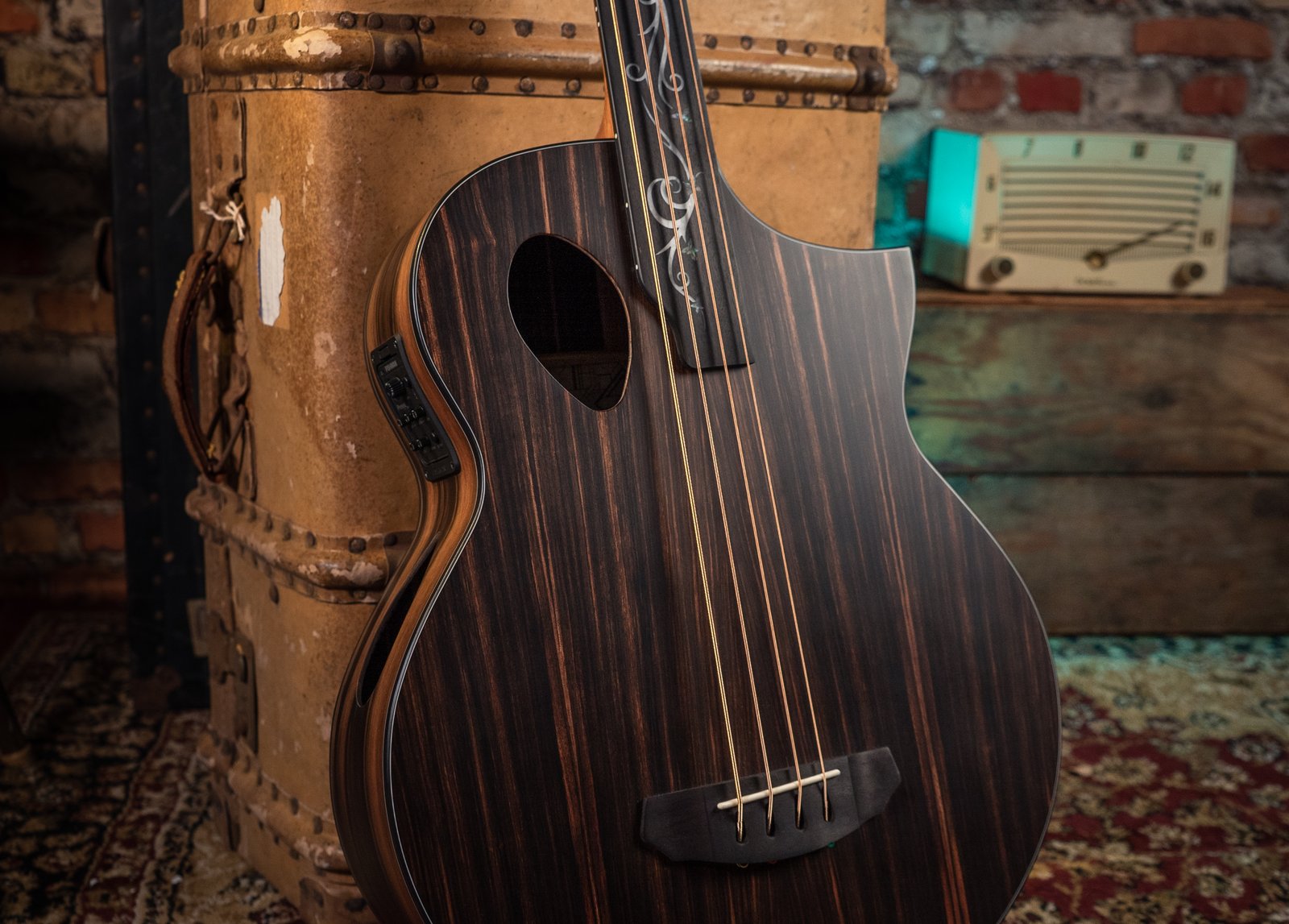 Dragonfly 4 JE Fretless Lifestyle 1